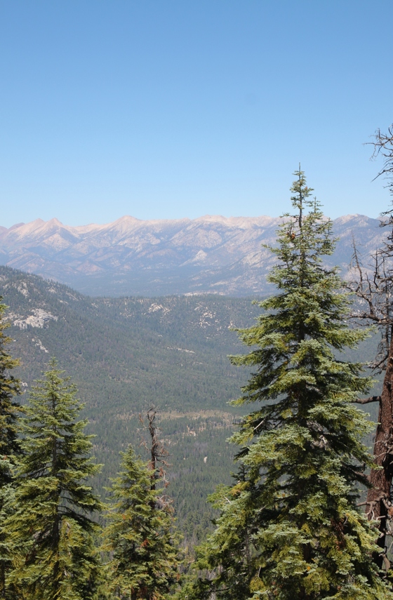 Sequoia National Forest